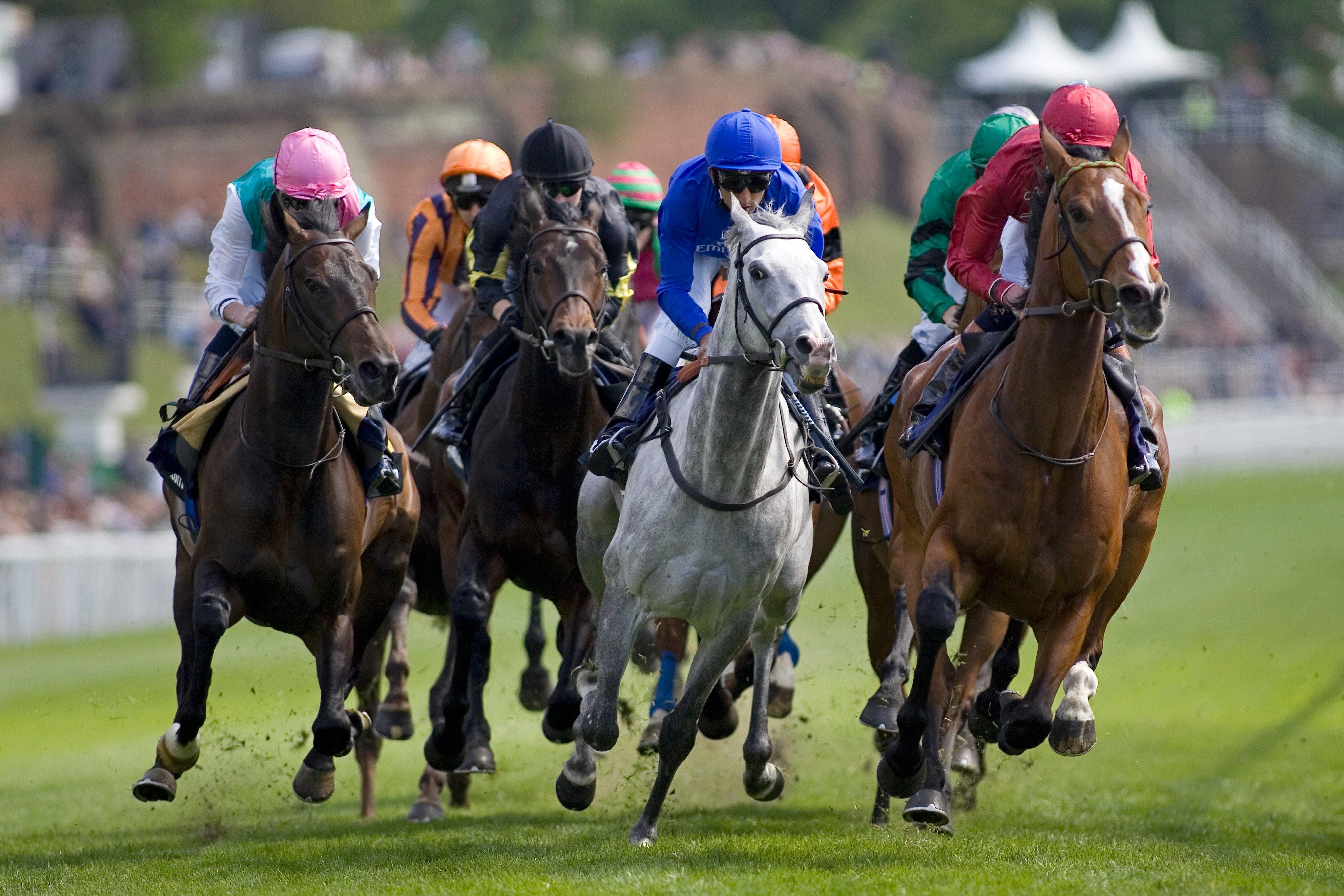 Express, Racecourse By Ihg Hotel Chester